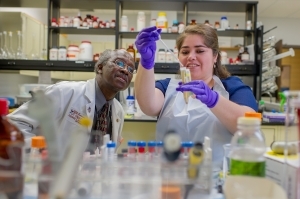 Research Opportunities Research Opportunities